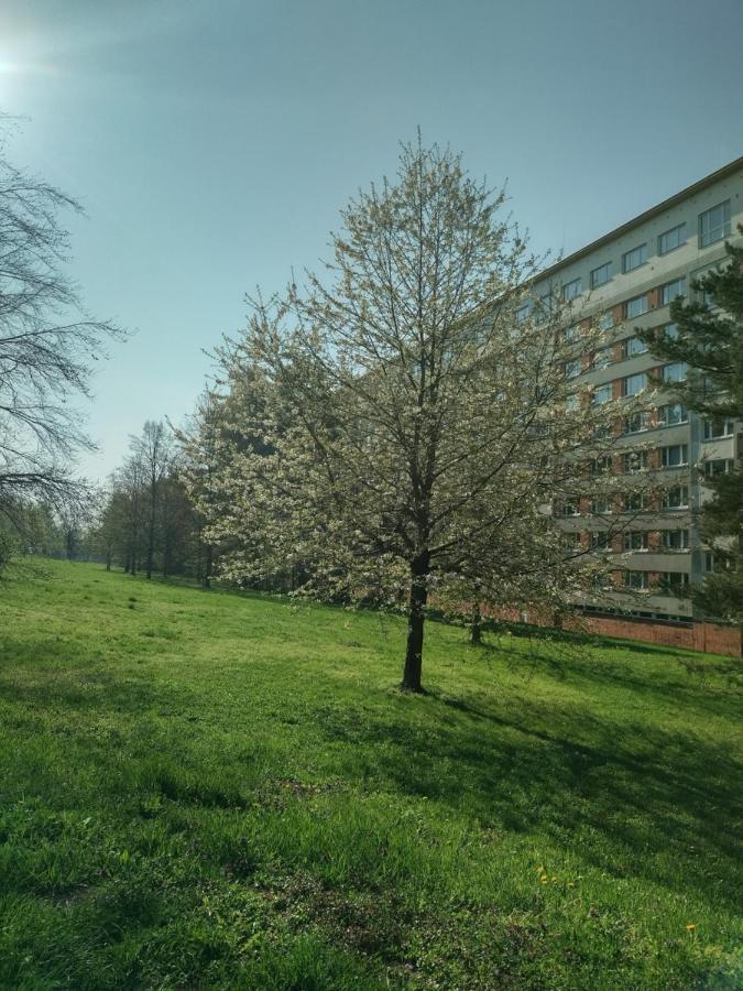 Ferienwohnung Flat Lesna Brünn Exterior foto